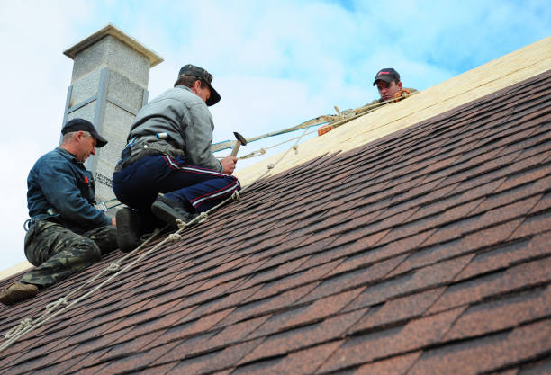 Best Roof Waterproofing Services  in Lofall, WA