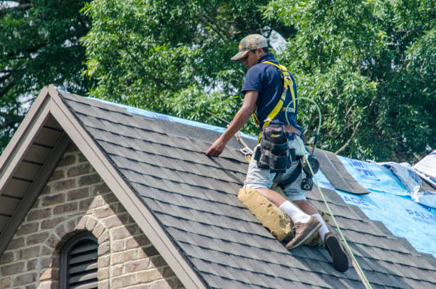 Best New Roof Installation  in Lofall, WA